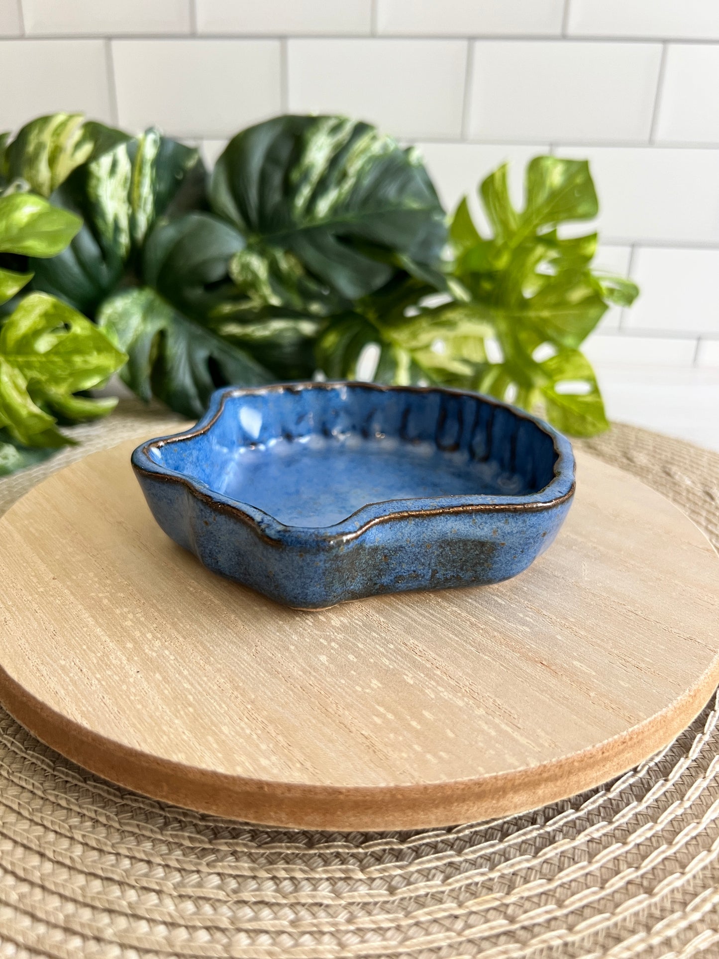 Seashell Dish in Dark Blue