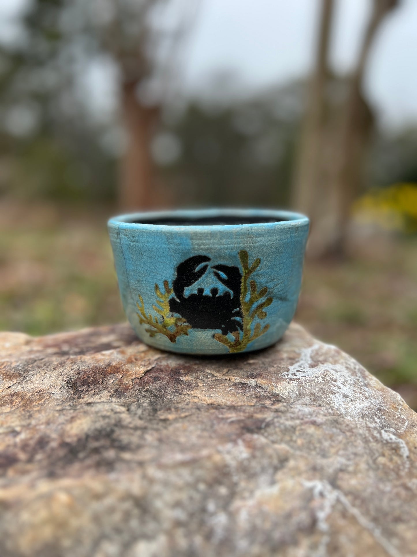 Raku Bowl/Flower Pot Event Currituck Home, Flower, and Garden Show